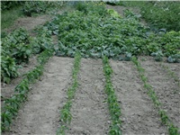 11b27b6b-Picture 055.jpg